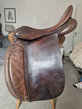 Inch havana english for sale  SKIPTON