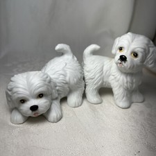 Homco set puppy for sale  Peoria