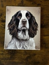 English springer spaniel for sale  Duffield