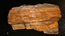 Old petrified wood for sale  Dyer