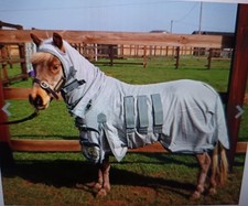 Ruggles shetland miniature for sale  ABERDEEN