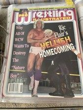 Pwi pro wrestling for sale  HULL