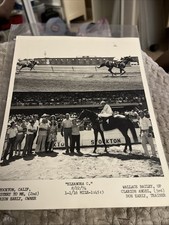 Vintage horse racing for sale  Glendora