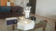 Stereomikroskop riginal zeiss gebraucht kaufen  Nieder-Olm