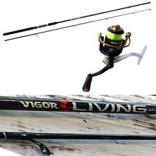 Kit spinning canna usato  Terni
