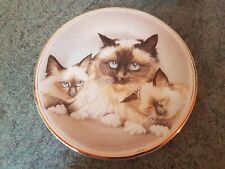 Birman cat plate for sale  STANSTED