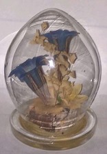 dried floral arrangement for sale dried floral arrangement for sale Havelock