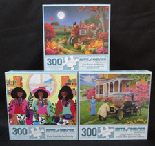 Bits pieces 300 for sale  Sarasota