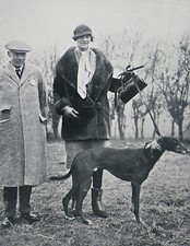 Greyhound waterloo cup for sale  WORCESTER