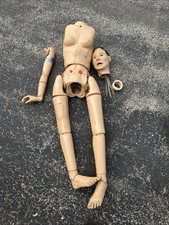 Nasco lifeform nursing for sale  Palatine