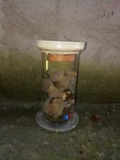 paguro usato  Ariccia