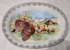 turkey ducks for sale turkey ducks for sale Skiatook