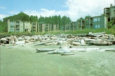 Newport oregon little for sale  Salem