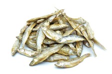 Fische groß getrocknet gebraucht kaufen  Bielefeld