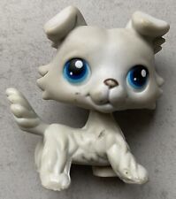 Petshop 363 authentic d'occasion  Nègrepelisse