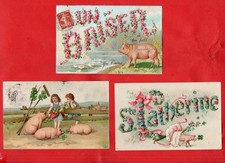 Maialini bellissime cartoline usato Maialini bellissime cartoline usato  Teramo