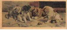 Chat 32386 groupe d'occasion  France