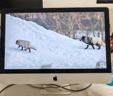 Apple imac intel usato  Livorno