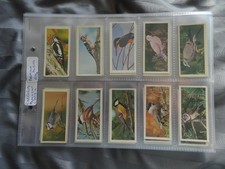 Different trade card for sale  KNOTTINGLEY