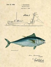 Blue fin tuna for sale  West Haven