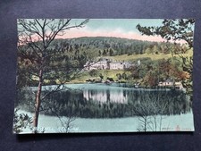 Bowhill selkirk scottish for sale Bowhill selkirk scottish for sale  WORKINGTON