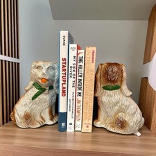 Cavalier king charles for sale  Brooklyn