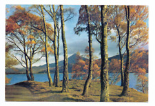 Loch rannoch shores for sale  EDINBURGH