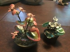 Bovano cheshire flowers for sale  Charlotte