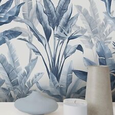 Blue akari madagascar for sale  BURNLEY