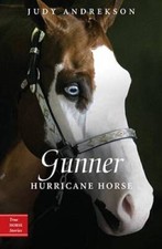 Gunner hurricane horse for sale  Montgomery