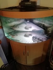 Jewel trigon 190 for sale  DONCASTER