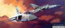Adrian rigby aviation for sale  HELENSBURGH
