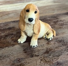 Basset hound dog for sale  Inwood