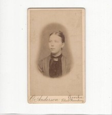 Cdv foto damenportrait gebraucht kaufen  Winsen