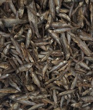 Getrocknete fische 7cm gebraucht kaufen  Ilsede