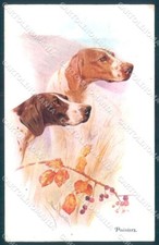 Animali arthur wardle usato  Gambolo