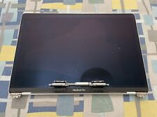 Display macbook pro usato  Barletta
