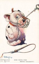 Animaux chien one d'occasion  France