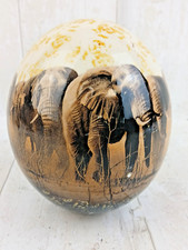 South african big for sale  WOKING