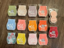 Scentsy wax melt for sale  BRISTOL