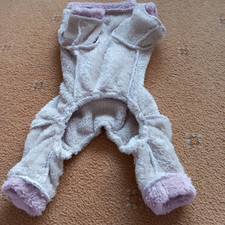 Whippet dog sherpa for sale  SHEFFIELD