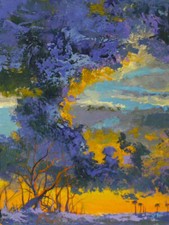 Thunderhead big pass for sale  Venice