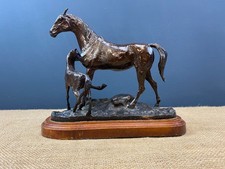 Bronze mare foal for sale  SHEFFIELD