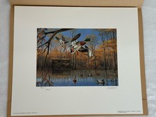 2004 ralph macdonald for sale  West Memphis