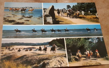 Bretagne equitation d'occasion  La Ciotat