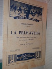 Primavera settimo zimarino usato  Salerno