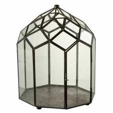 Terrarium verre vintage d'occasion  Mouans-Sartoux