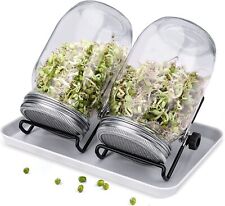 Sprouting mason jars for sale  HORNSEA