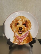 Pier goldendoodle dog for sale  Hico