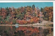 Cartão postal Pine Lake perto de Branchport New York folhagem de outono comprar usado  Enviando para Brazil